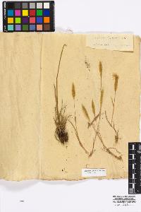 SW_BNB_s3010-16864_IMG-0000000001