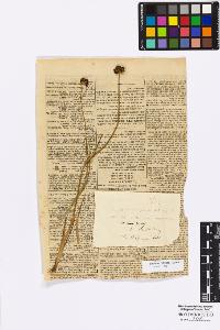 SW_BNB_s3010-16865_IMG-0000000001