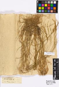 SW_BNB_s3010-16866_IMG-0000000001