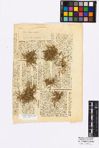 SW_BNB_s3010-16867_IMG-0000000001