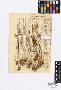 SW_BNB_s3010-16868_IMG-0000000001