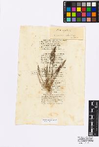 SW_BNB_s3010-16869_IMG-0000000001