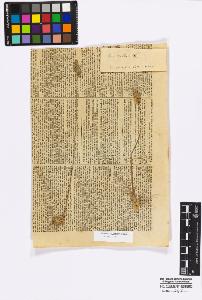 SW_BNB_s3010-16870_IMG-0000000001