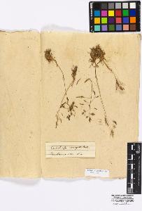 SW_BNB_s3010-16871_IMG-0000000001