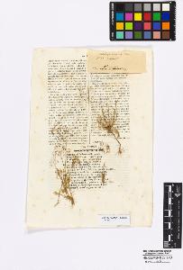 SW_BNB_s3010-16872_IMG-0000000001