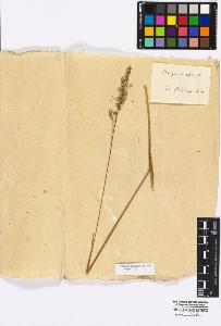 SW_BNB_s3010-16873_IMG-0000000001