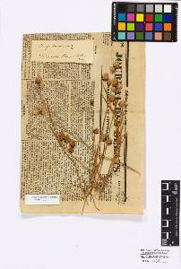 SW_BNB_s3010-16874_IMG-0000000001