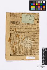 SW_BNB_s3010-16875_IMG-0000000001