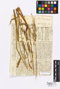 SW_BNB_s3010-16876_IMG-0000000001