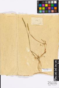 SW_BNB_s3010-16877_IMG-0000000001