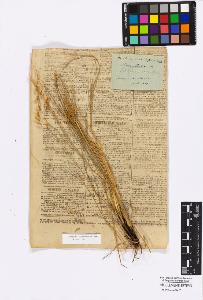 SW_BNB_s3010-16878_IMG-0000000001