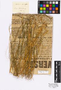 SW_BNB_s3010-16879_IMG-0000000001