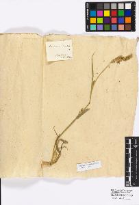 SW_BNB_s3010-16880_IMG-0000000001