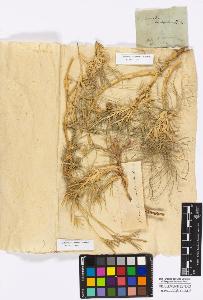 SW_BNB_s3010-16881_IMG-0000000001