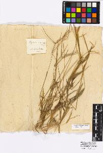 SW_BNB_s3010-16883_IMG-0000000001