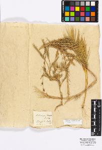 SW_BNB_s3010-16884_IMG-0000000001