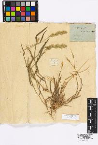 SW_BNB_s3010-16885_IMG-0000000001