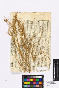 SW_BNB_s3010-16886_IMG-0000000001