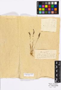 SW_BNB_s3010-16887_IMG-0000000001