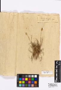 SW_BNB_s3010-16888_IMG-0000000001