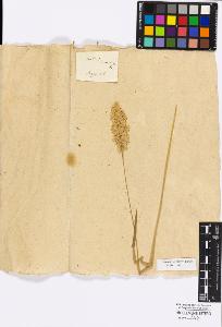 SW_BNB_s3010-16889_IMG-0000000001