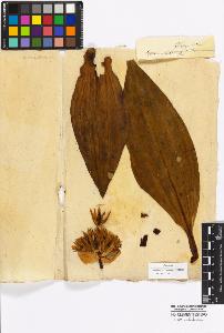 SW_BNB_s3010-16890_IMG-0000000001