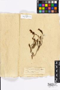 SW_BNB_s3010-16891_IMG-0000000001