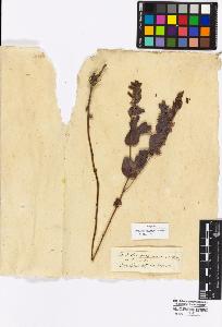 SW_BNB_s3010-16892_IMG-0000000001