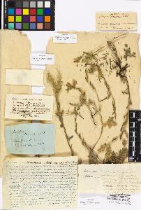 SW_BNB_s3010-16893_IMG-0000000001