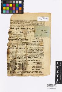 SW_BNB_s3010-16896_IMG-0000000001