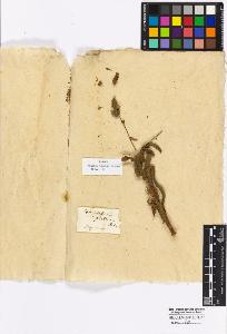 SW_BNB_s3010-16897_IMG-0000000001