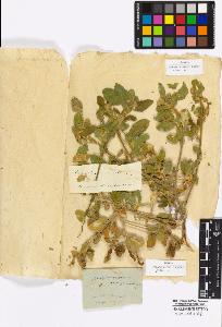 SW_BNB_s3010-16899_IMG-0000000001