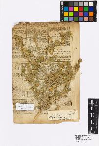 SW_BNB_s3010-16900_IMG-0000000001