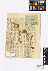 SW_BNB_s3010-16902_IMG-0000000001