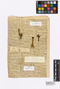 SW_BNB_s3010-16904_IMG-0000000001