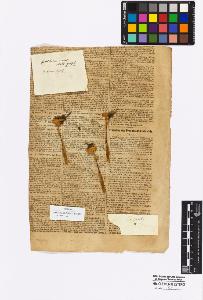 SW_BNB_s3010-16906_IMG-0000000001