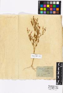 SW_BNB_s3010-16907_IMG-0000000001