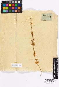 SW_BNB_s3010-16908_IMG-0000000001