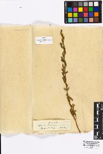 SW_BNB_s3010-16911_IMG-0000000001