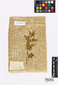 SW_BNB_s3010-16912_IMG-0000000001