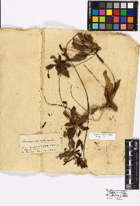 SW_BNB_s3010-16913_IMG-0000000001