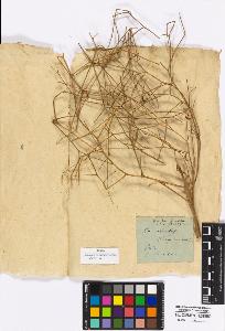 SW_BNB_s3010-16914_IMG-0000000001