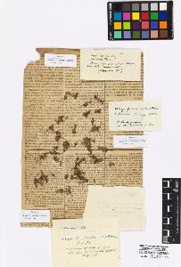 SW_BNB_s3010-16915_IMG-0000000001