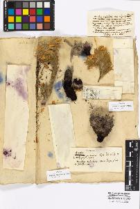 SW_BNB_s3010-16916_IMG-0000000001