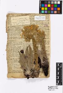 SW_BNB_s3010-16918_IMG-0000000001