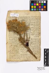 SW_BNB_s3010-16919_IMG-0000000001