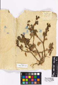 SW_BNB_s3010-16920_IMG-0000000001