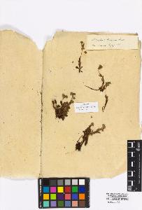 SW_BNB_s3010-16921_IMG-0000000001