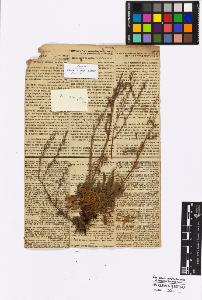 SW_BNB_s3010-16922_IMG-0000000001