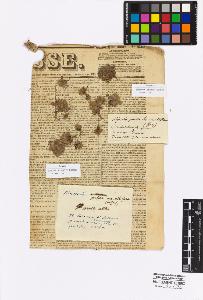 SW_BNB_s3010-16923_IMG-0000000001